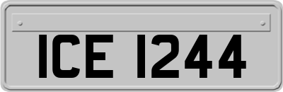 ICE1244
