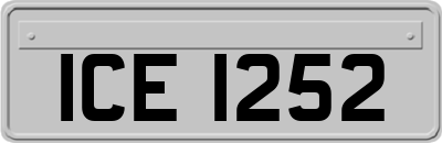 ICE1252