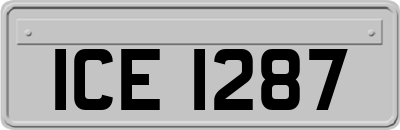 ICE1287