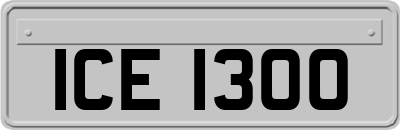 ICE1300