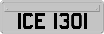 ICE1301