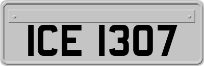 ICE1307
