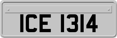 ICE1314