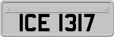 ICE1317