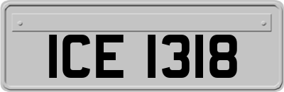 ICE1318