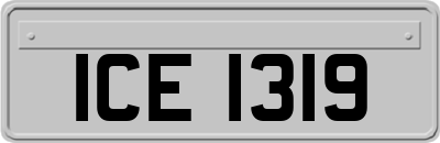ICE1319