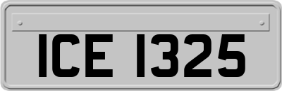 ICE1325