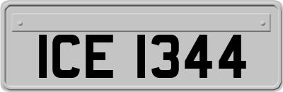 ICE1344