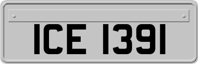 ICE1391