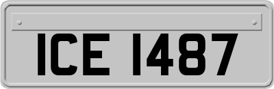 ICE1487