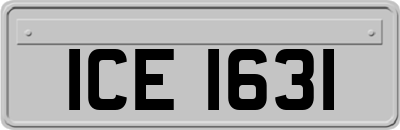 ICE1631
