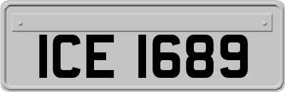 ICE1689