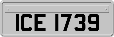 ICE1739