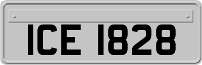 ICE1828