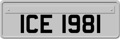 ICE1981