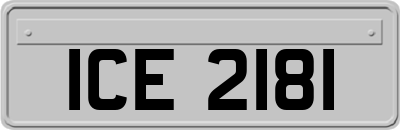 ICE2181