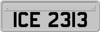 ICE2313