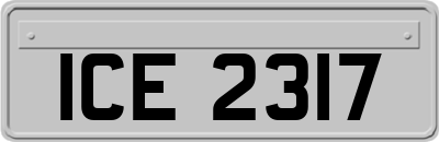 ICE2317