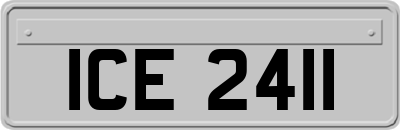 ICE2411