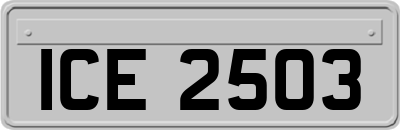 ICE2503