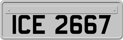 ICE2667