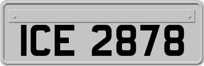ICE2878
