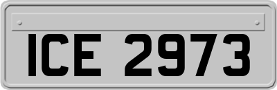 ICE2973