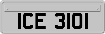 ICE3101