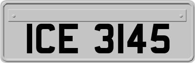 ICE3145