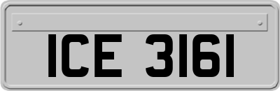 ICE3161