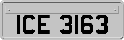 ICE3163