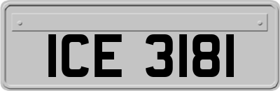 ICE3181