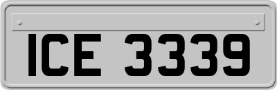 ICE3339