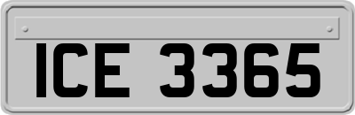 ICE3365