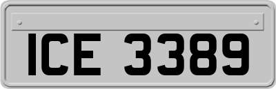 ICE3389