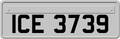 ICE3739
