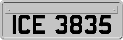 ICE3835