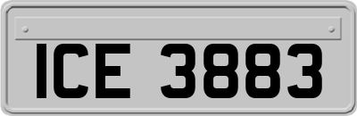 ICE3883