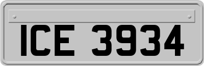 ICE3934