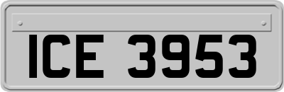 ICE3953