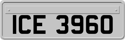 ICE3960
