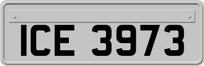 ICE3973