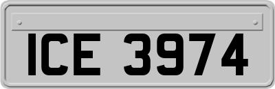 ICE3974