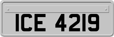 ICE4219