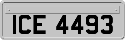 ICE4493