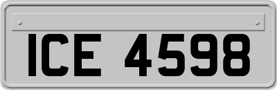 ICE4598