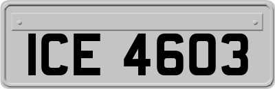 ICE4603