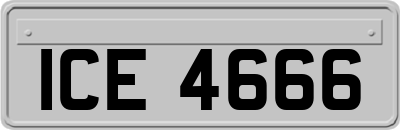 ICE4666