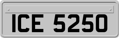 ICE5250