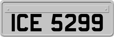 ICE5299